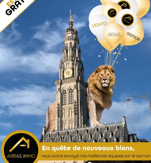 flyer arras immo lion 2